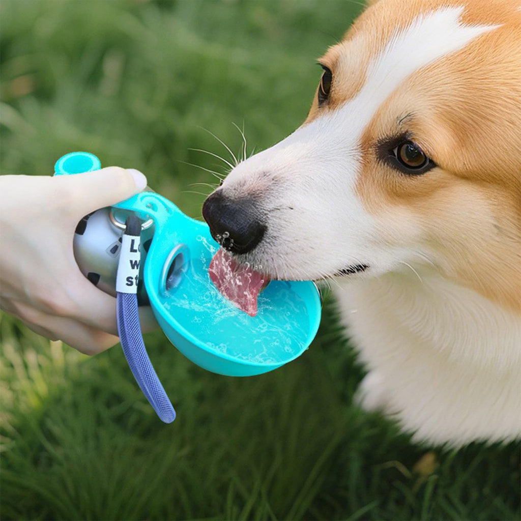 Stainless Steel Outdoor Pet Water Bowl